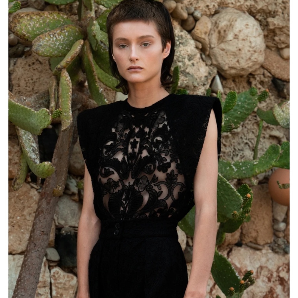 Sabina Musayev Black Velvet and Lace Arabella Top